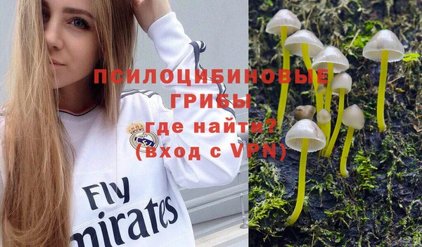 спиды Снежинск