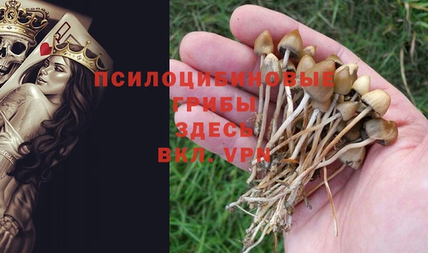 Альфа ПВП Снежногорск